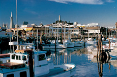 San Francisco Fisherman's Wharf cruise excursion
